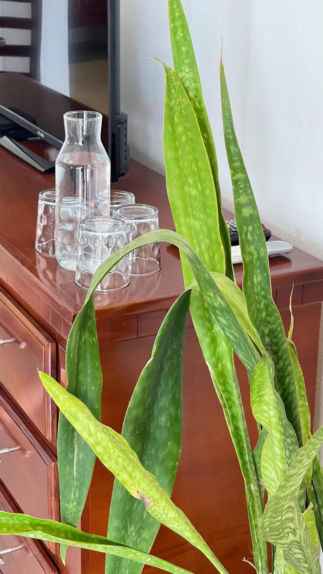 Quinta Alberto Boutique Hotel 산블라스 객실 사진